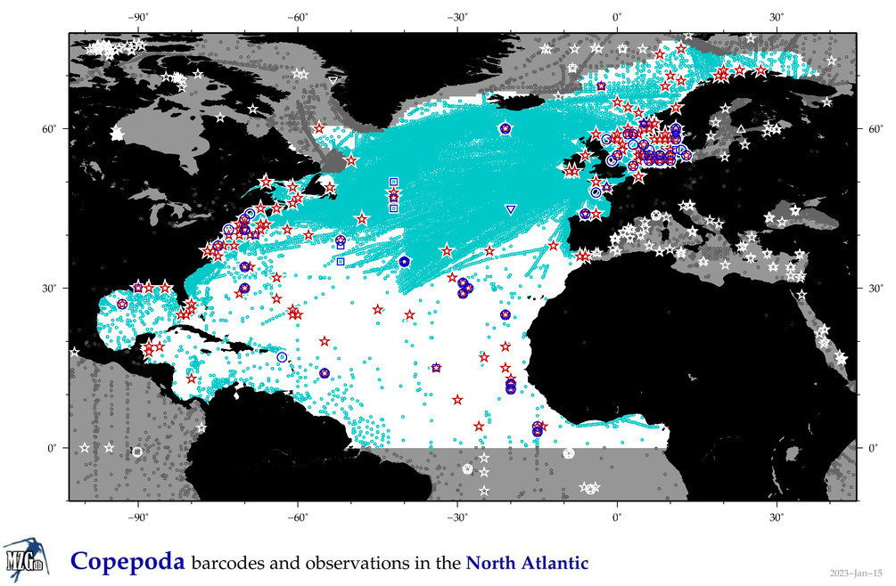 Map of North Atlantic copepoda and barcodes