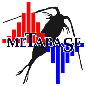 metabase vs superset